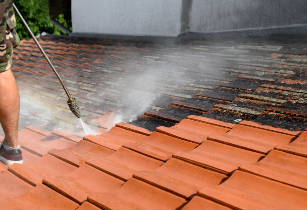 Best Pressure Washing Siding  in Granite Shoals, TX